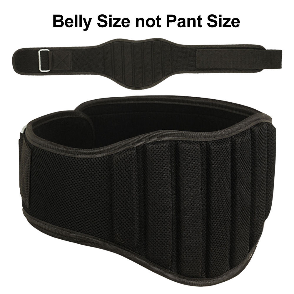 Gym Belt